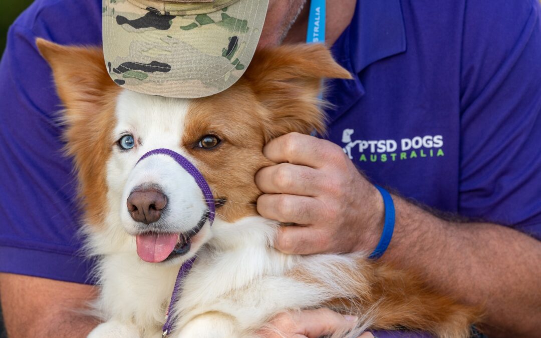 PTSD Dogs Australia Ltd.